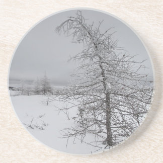 Narnia Zandsteen Onderzetter