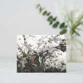 (((((narratief)))) briefkaart (Staand voorkant)