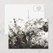 (((((narratief)))) briefkaart (Voorkant / Achterkant)