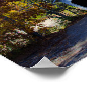 Narrow Covered Bridge Parke County, Indiana Poster (Hoek)