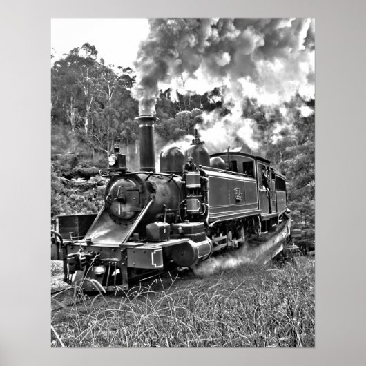Narrow Gage Steam Train Black en White Poster (Voorkant)