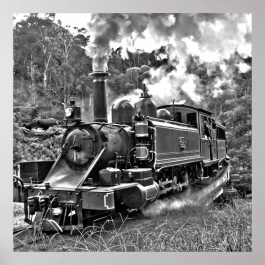 Narrow Gage Steam Train Puffing Engine Poster (Voorkant)
