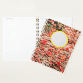 Narrow Planner (Display)