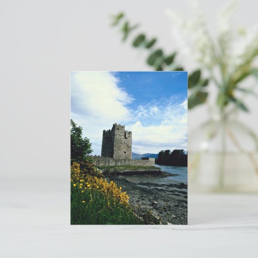 Narrow water castle, County Down, Ierland in Europ Briefkaart (Staand voorkant)