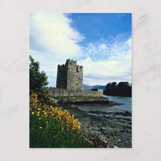 Narrow water castle, County Down, Ierland in Europ Briefkaart (Voorkant)