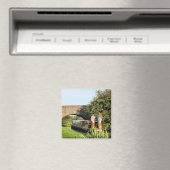 NARROWBOATS MAGNEET (Insitu (Vaatwasser))