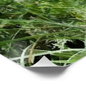 NARROWBOATS PERFECT POSTER (Hoek)