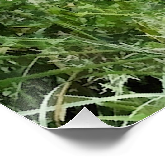 NARROWBOATS PERFECT POSTER (Hoek)