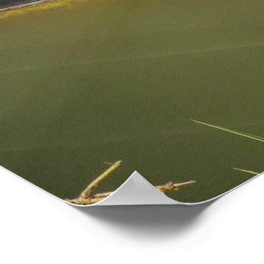 NARROWBOATS POSTER (Hoek)