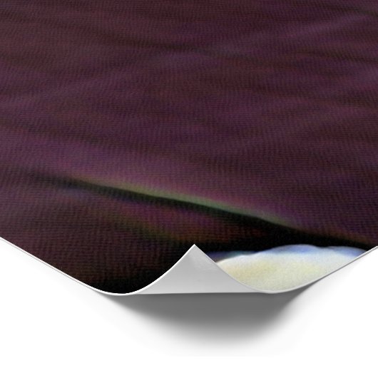 NARROWBOATS POSTER (Hoek)