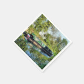 NARROWBOATS SERVET (Hoek)