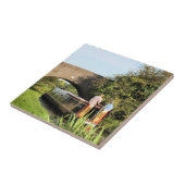 NARROWBOATS TEGELTJE (Zijkant)