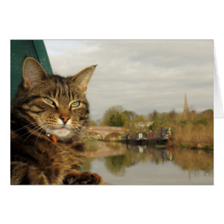 Narrowboot Cat Canal Scene in Braunston.