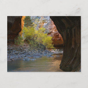Narrows in Zion National Park Briefkaart