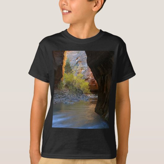 Narrows in Zion National Park T-shirt (Voorkant)