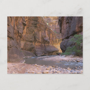 Narrows Zion National Park Briefkaart