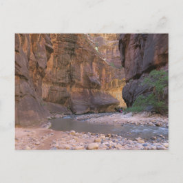 Narrows Zion National Park Briefkaart