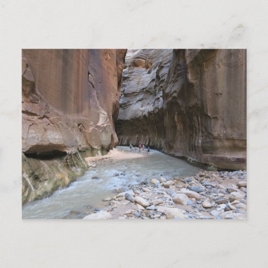 Narrows Zion National Park Briefkaart (Voorkant)