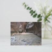Narrows Zion National Park Briefkaart (Staand voorkant)