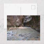 Narrows Zion National Park Briefkaart (Voorkant / Achterkant)