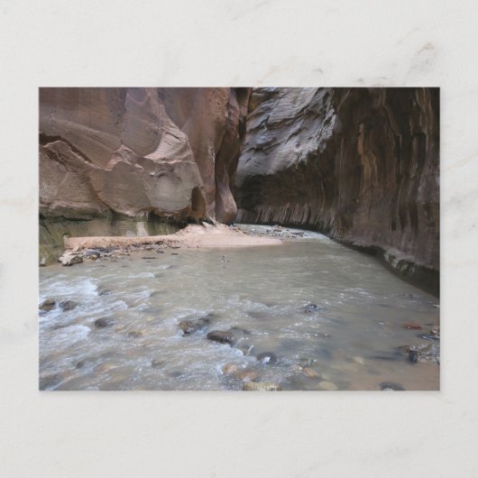 Narrows Zion National Park Briefkaart (Voorkant)