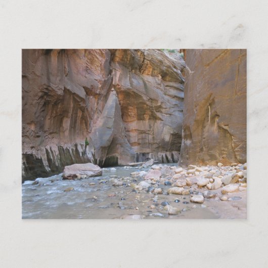Narrows Zion National Park Briefkaart (Voorkant)