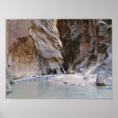Narrows Zion National Park Poster (Voorkant)