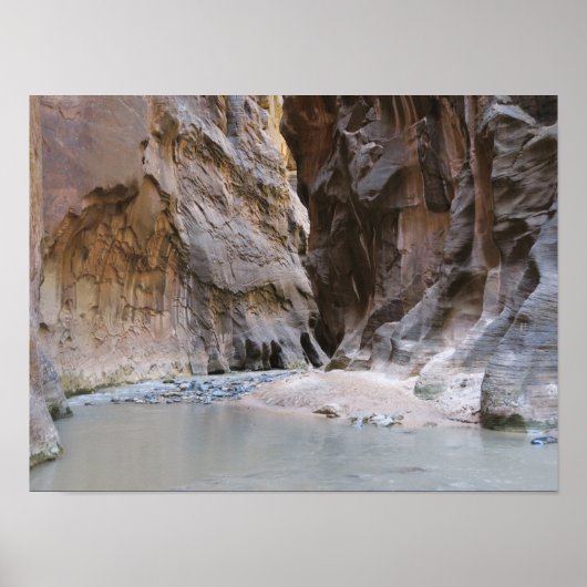 Narrows Zion National Park Poster (Voorkant)