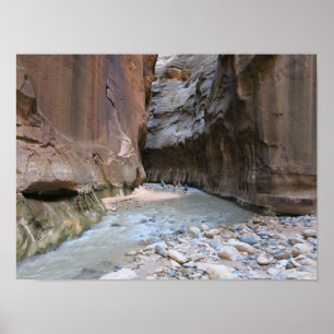 Narrows Zion National Park Poster