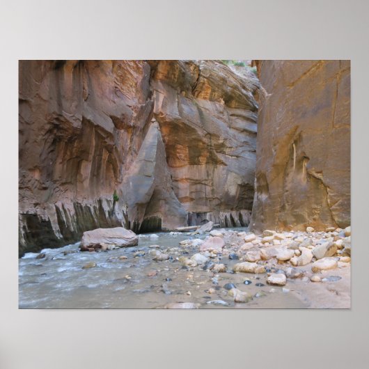 Narrows Zion National Park Poster (Voorkant)
