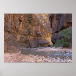 Narrows Zion National Park Poster