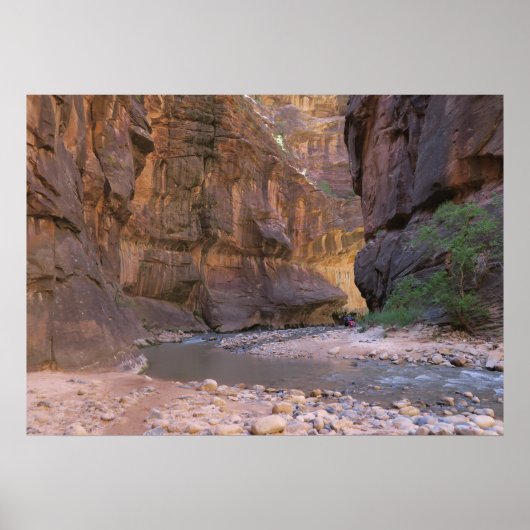 Narrows Zion National Park Poster (Voorkant)