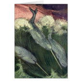  narwallen, zeewalvissen en zeedieren (Voorkant)