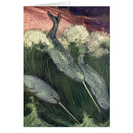  narwallen, zeewalvissen en zeedieren (Voorkant)