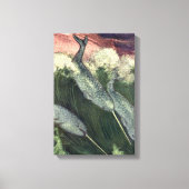 narwallen, zeewalvissen en zeedieren canvas afdruk (Voorkant)