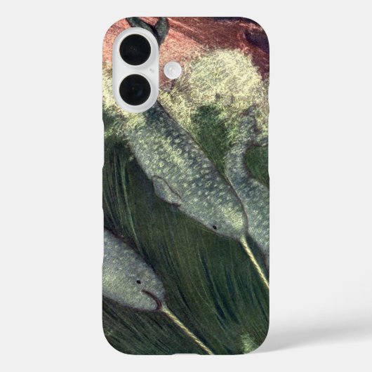 narwallen, zeewalvissen en zeedieren Case-Mate iPhone case (Achterkant)