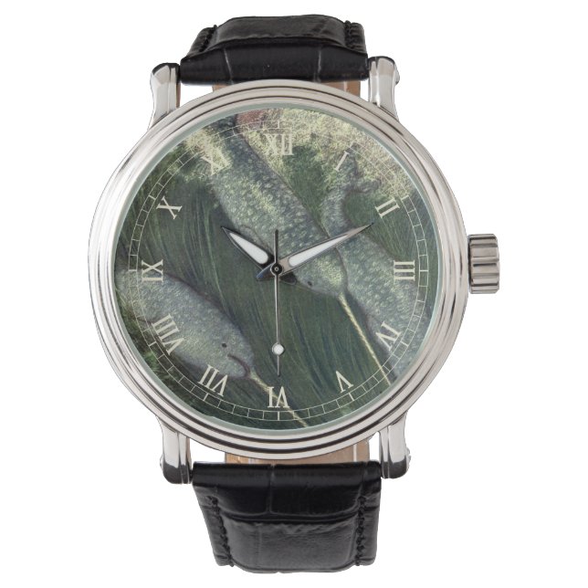  narwallen, zeewalvissen en zeedieren horloge (Voorkant)