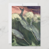 narwallen, zeewalvissen en zeedieren kaart (Voorkant)