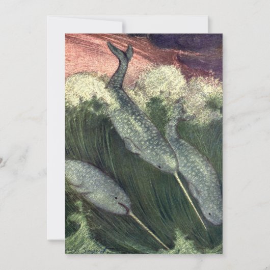 narwallen, zeewalvissen en zeedieren kaart (Voorkant)