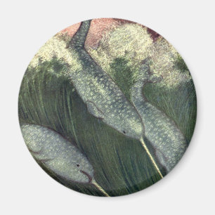  narwallen, zeewalvissen en zeedieren magneet