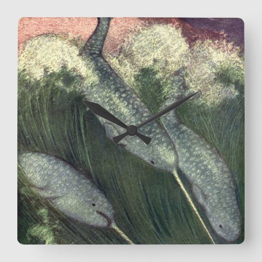  narwallen, zeewalvissen en zeedieren vierkante klok (Voorkant)