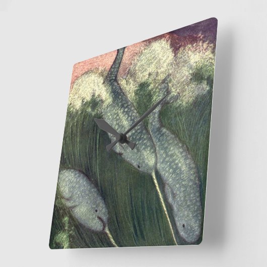  narwallen, zeewalvissen en zeedieren vierkante klok (Hoek)