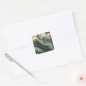 narwallen, zeewalvissen en zeedieren vierkante sticker (Envelop)