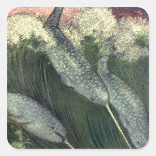 Narwals, Vintage Zeeleven Walvissen Oceaan Dieren Vierkante Sticker