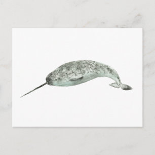 Narwalwalvis aquarel briefkaart
