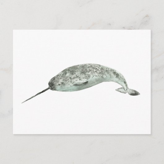 Narwalwalvis aquarel briefkaart (Voorkant)