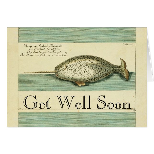 Narwhal Antiek walvis Waterverf Scientific Art (Voorkant Horizontaal)