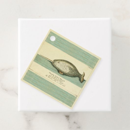 Narwhal Antiek walvis Waterverf Scientific Art Bedankjes Labels (In situ)