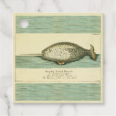 Narwhal Antiek walvis Waterverf Scientific Art Bedankjes Labels (Voorkant)