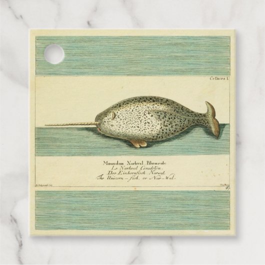 Narwhal Antiek walvis Waterverf Scientific Art Bedankjes Labels (Voorkant)